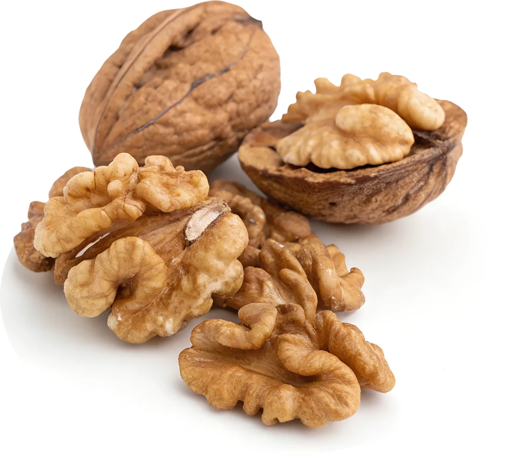 nueces